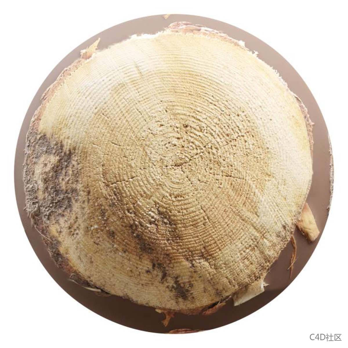 木桩表面洒落了一些泥土的真实感较强的木桩材质