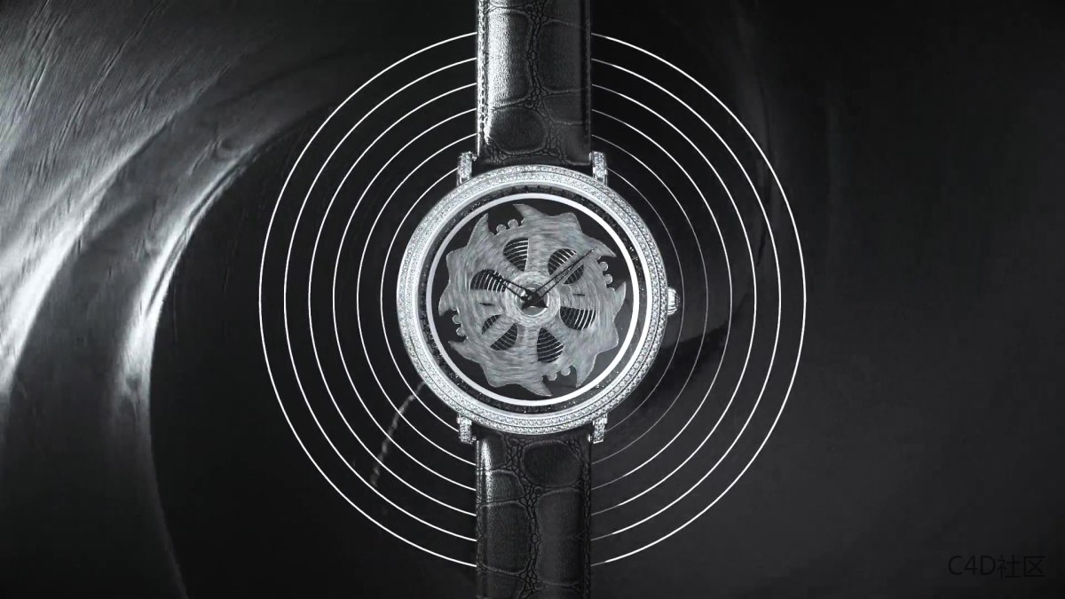 Anne Coquine Brand 女士钻石手表动画