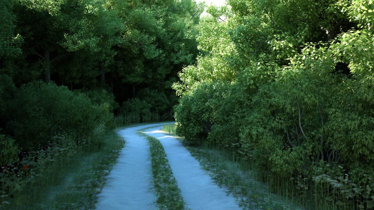 SurfaceSPREAD v2.0.9 for Cinema 4D 园林场景岩石风景植物生成插件