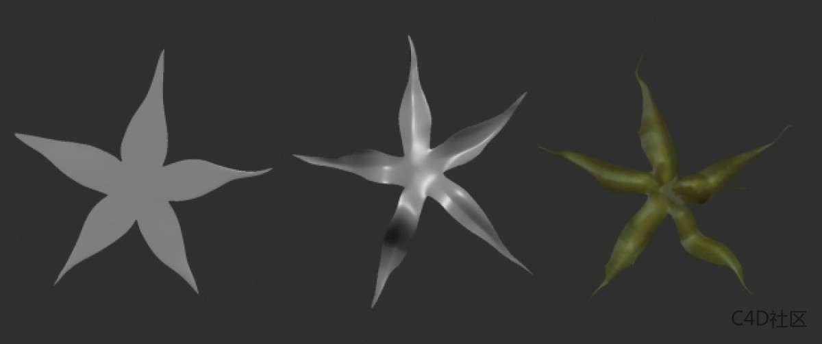 在ZBRUSH中与LIZ KIRBY建立高多边形植物 (2)