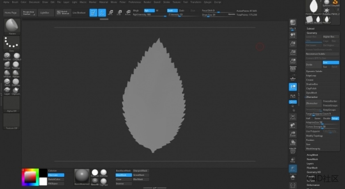在ZBRUSH中与LIZ KIRBY建立高多边形植物 (2)