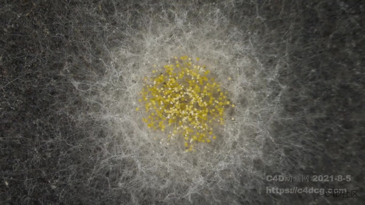 瑞士运动品牌Cyclon跑鞋宣传视频