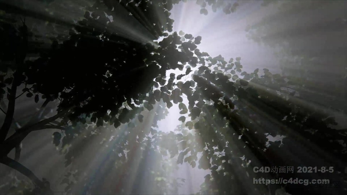 Lux Illuminazione 品牌宣传视频-光的艺术