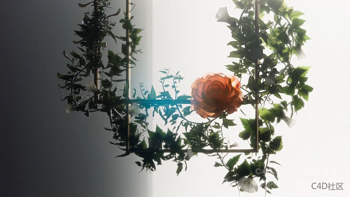 Morris品牌宣传动画-满满的植物生长动画