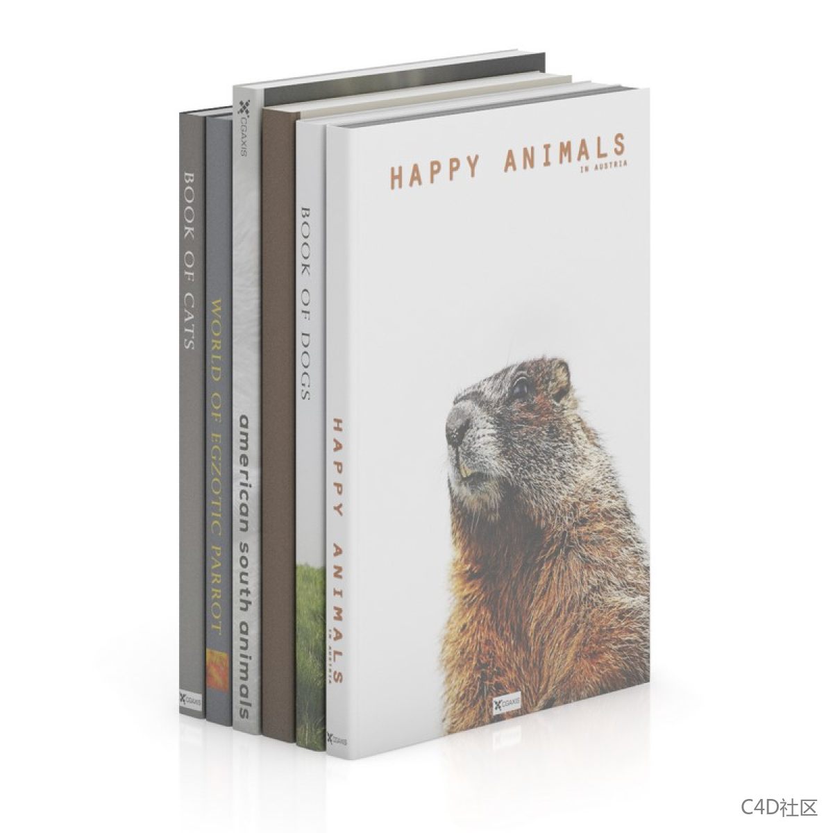 书籍模型-六本高低错落的书籍