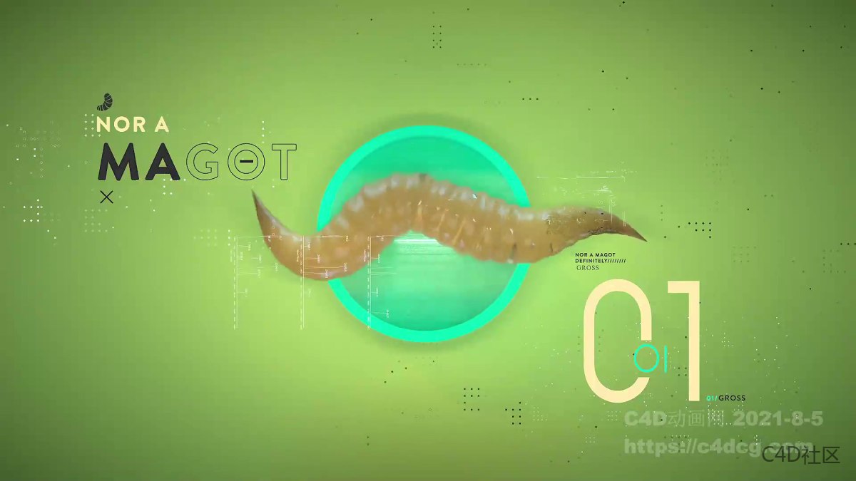 Manifesto 品牌宣传动画